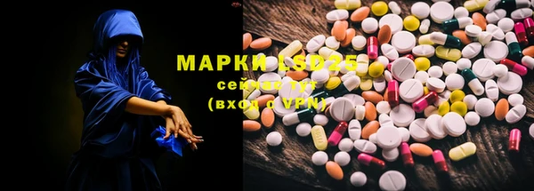 стафф Алзамай