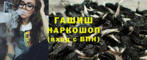 стафф Алзамай