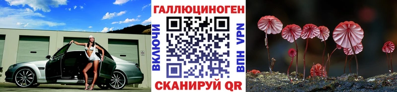 Галлюциногенные грибы MAGIC MUSHROOMS  Сосенский 